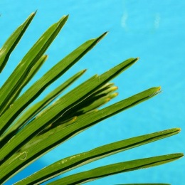 Instagram post from @duneaptshenderson on March 21, 2025 00:00:00am